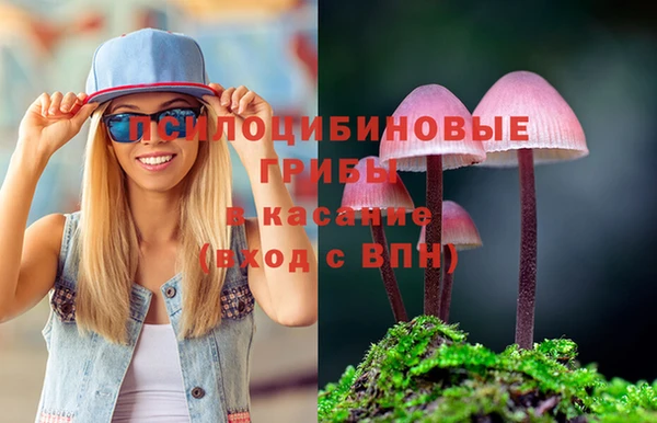 винт Аркадак